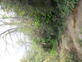 photo coins arrondis