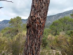 photo coins arrondis