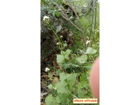 photo coins arrondis