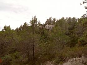 photo coins arrondis