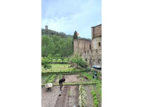 photo coins arrondis