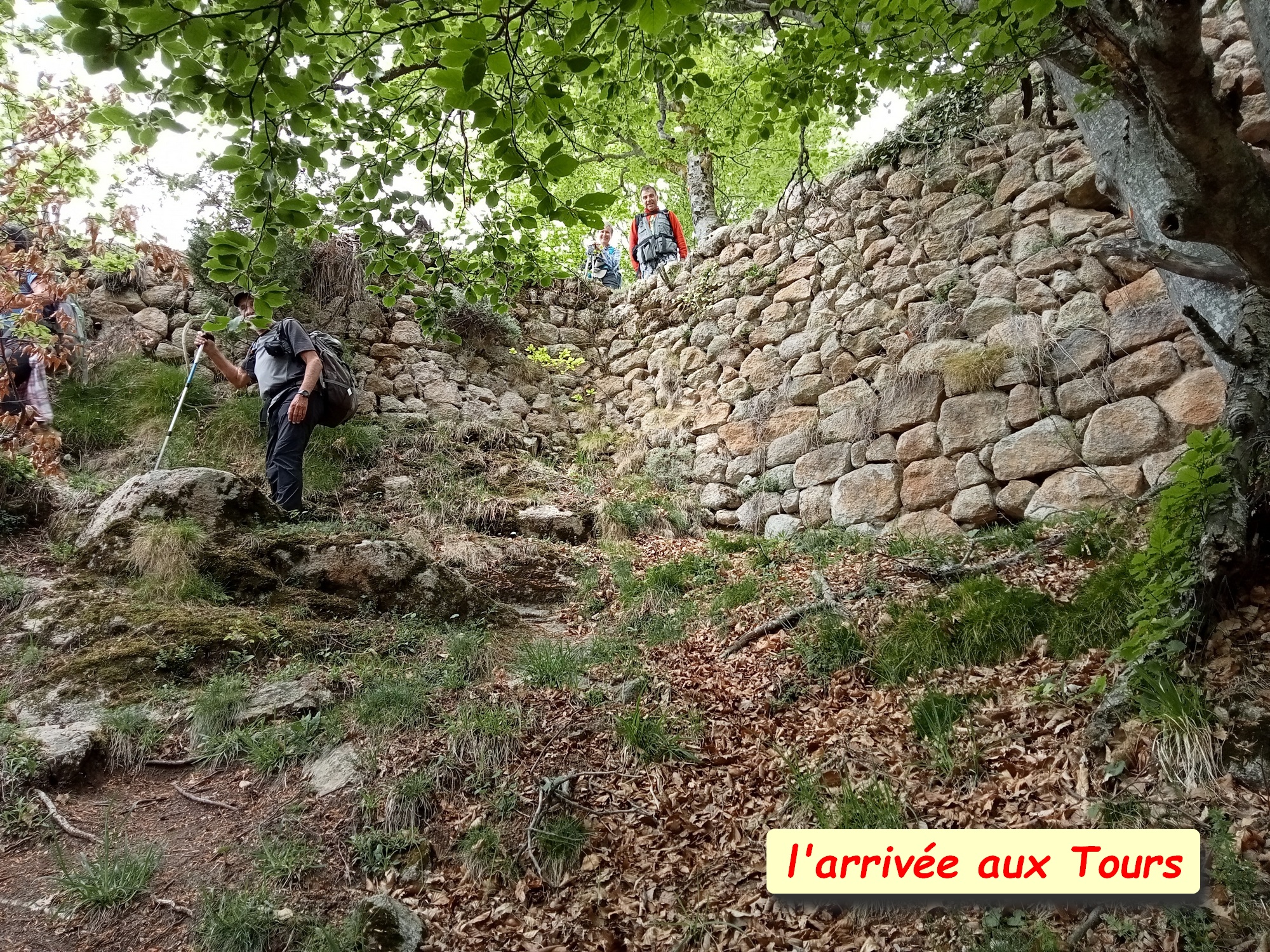 Image al&eacute;atoire