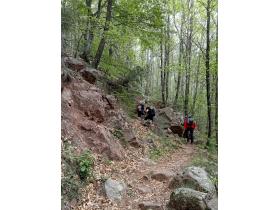 photo coins arrondis