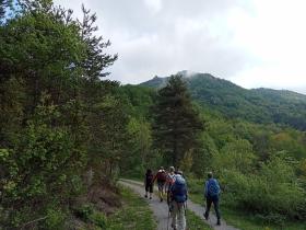 photo coins arrondis