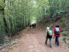 photo coins arrondis