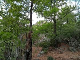 photo coins arrondis