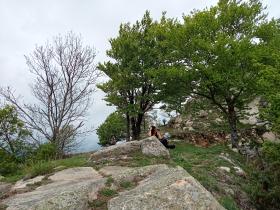 photo coins arrondis