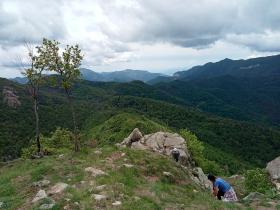 photo coins arrondis