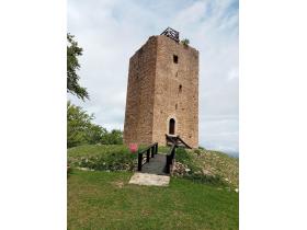 photo coins arrondis