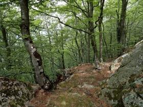 photo coins arrondis