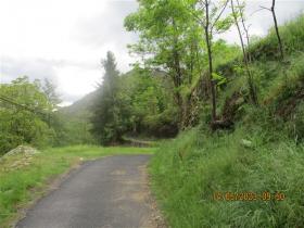 photo coins arrondis