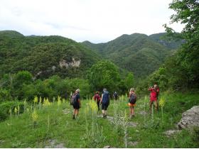 photo coins arrondis