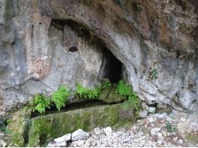 photo coins arrondis