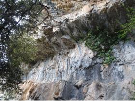 photo coins arrondis