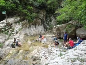 photo coins arrondis