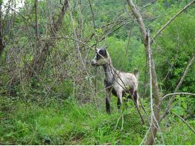 photo coins arrondis