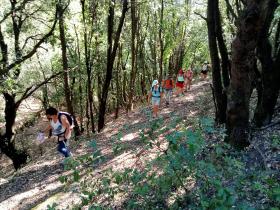 photo coins arrondis