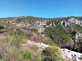 photo coins arrondis