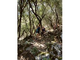 photo coins arrondis