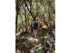 photo coins arrondis