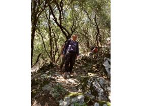 photo coins arrondis