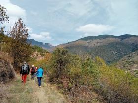 photo coins arrondis