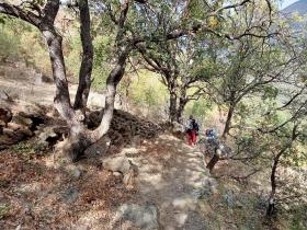 photo coins arrondis