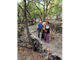 photo coins arrondis