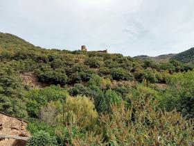 photo coins arrondis