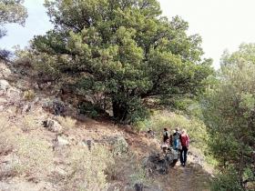 photo coins arrondis