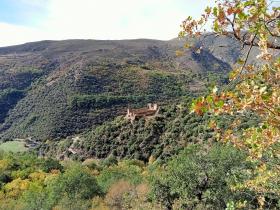 photo coins arrondis