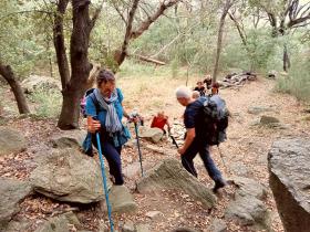 photo coins arrondis