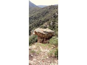 photo coins arrondis