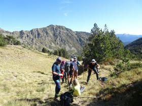 photo coins arrondis