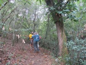 photo coins arrondis