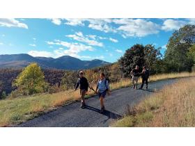 photo coins arrondis