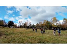 photo coins arrondis