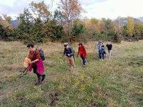 photo coins arrondis