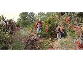 photo coins arrondis