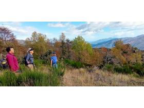 photo coins arrondis