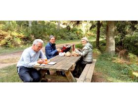 photo coins arrondis