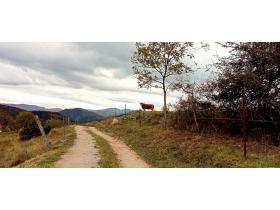 photo coins arrondis