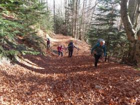 photo coins arrondis