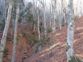 photo coins arrondis