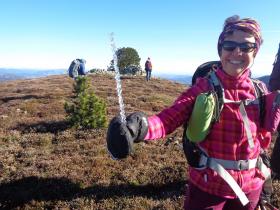 photo coins arrondis