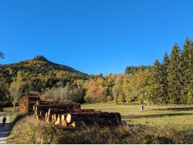 photo coins arrondis