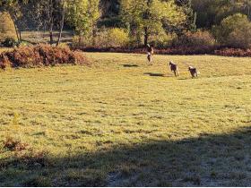 photo coins arrondis