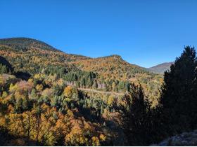 photo coins arrondis