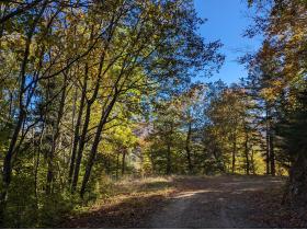 photo coins arrondis