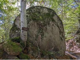 photo coins arrondis